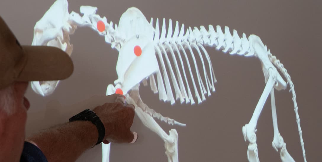 Formation sur la neutralisation d'animaux dangereux